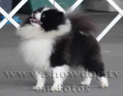 Clique sobre a foto para fechar